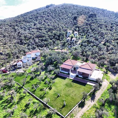Gera'S Olive Grove - Elaionas Lesvou Marmaro (Lesbos) Exterior foto