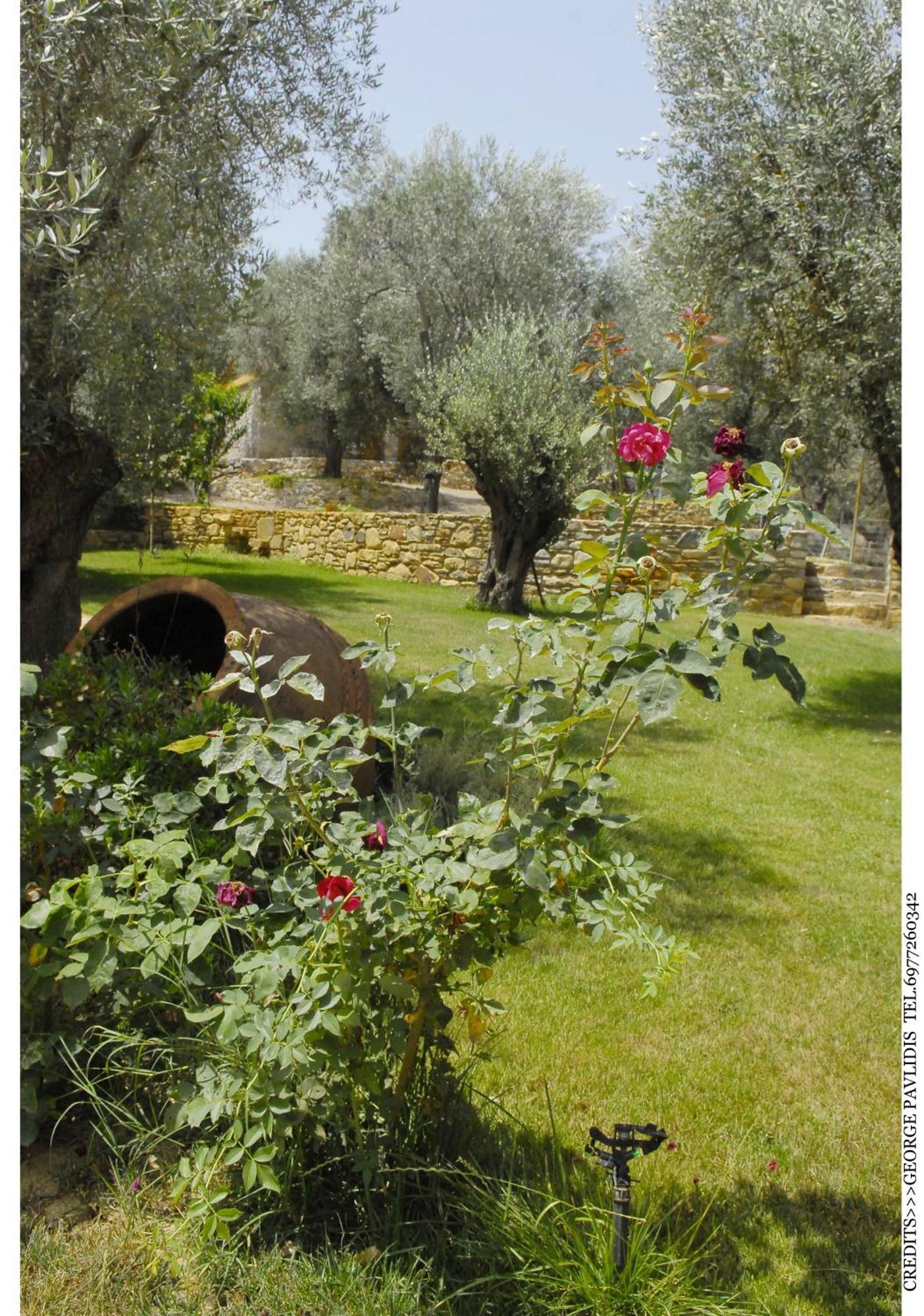 Gera'S Olive Grove - Elaionas Lesvou Marmaro (Lesbos) Exterior foto
