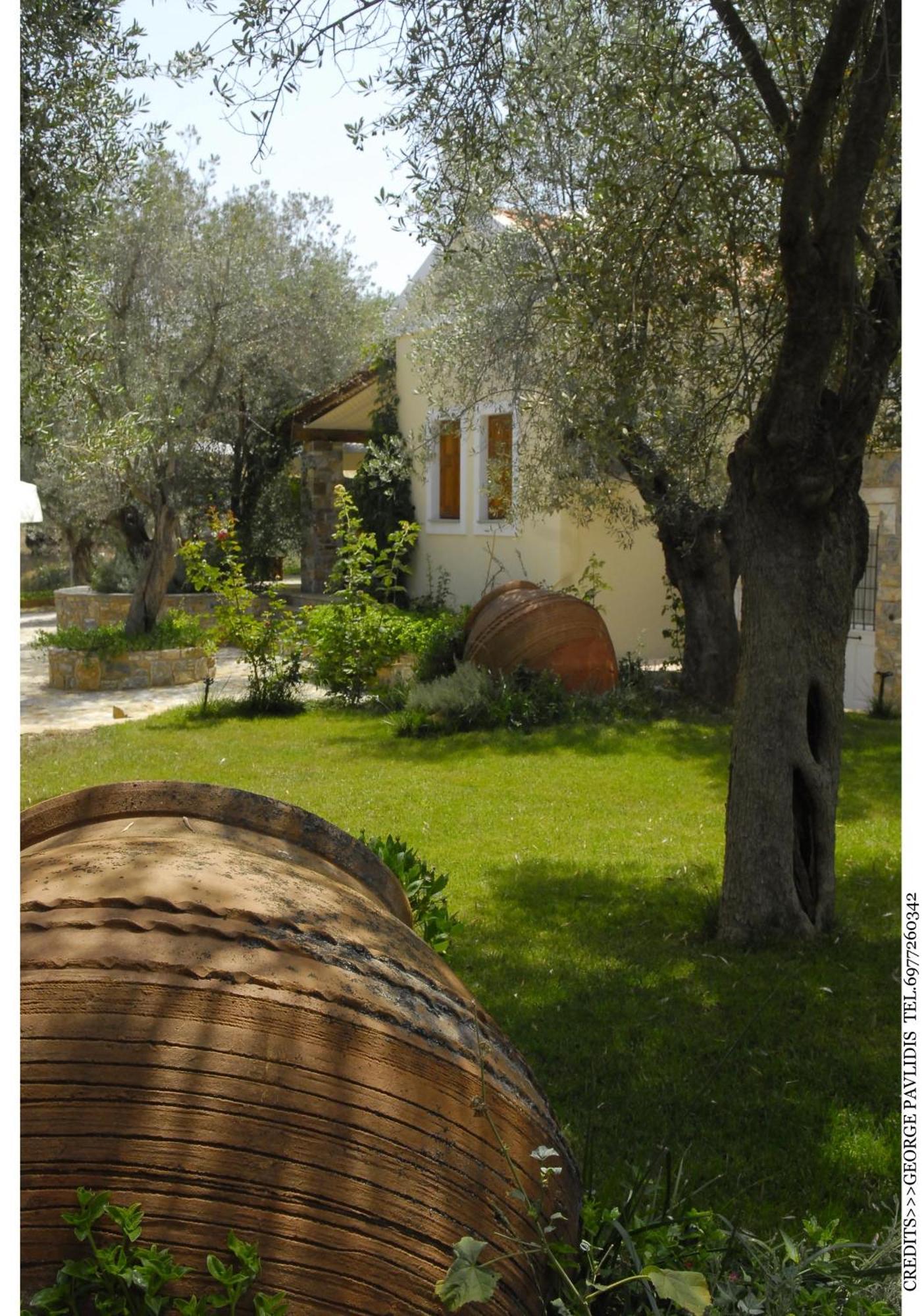 Gera'S Olive Grove - Elaionas Lesvou Marmaro (Lesbos) Exterior foto