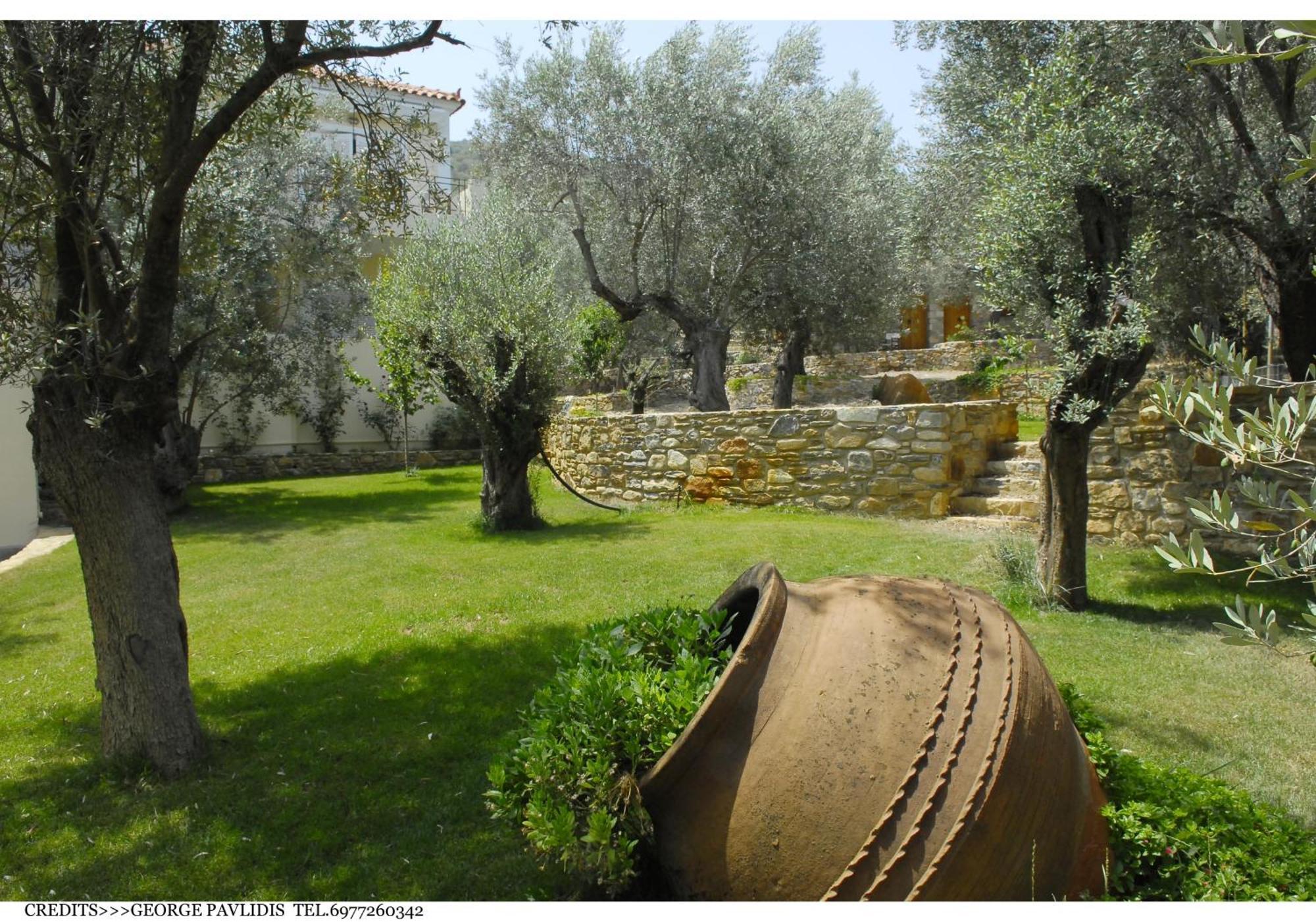 Gera'S Olive Grove - Elaionas Lesvou Marmaro (Lesbos) Exterior foto