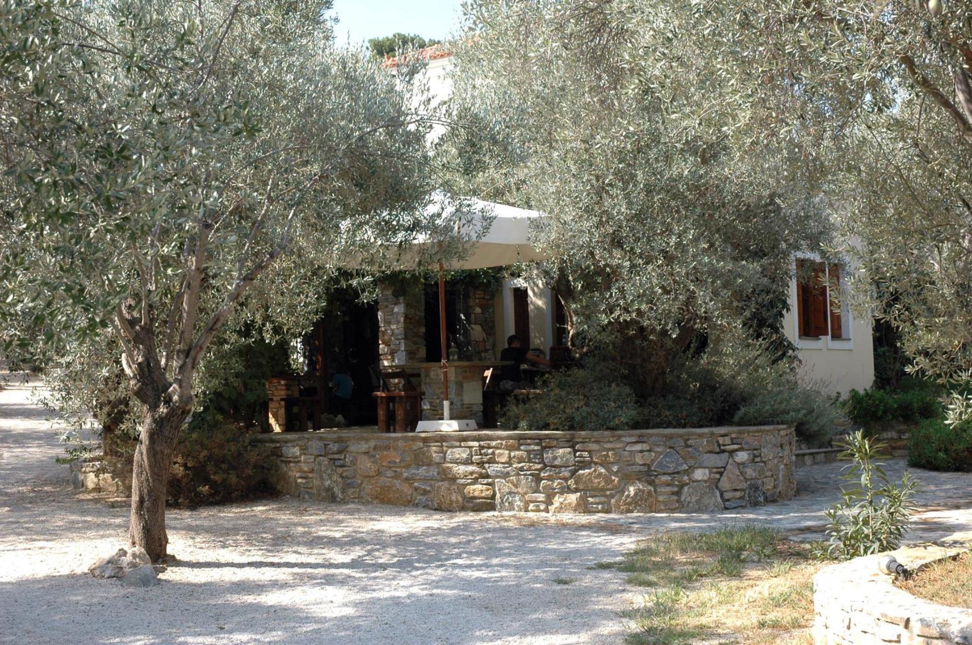 Gera'S Olive Grove - Elaionas Lesvou Marmaro (Lesbos) Exterior foto