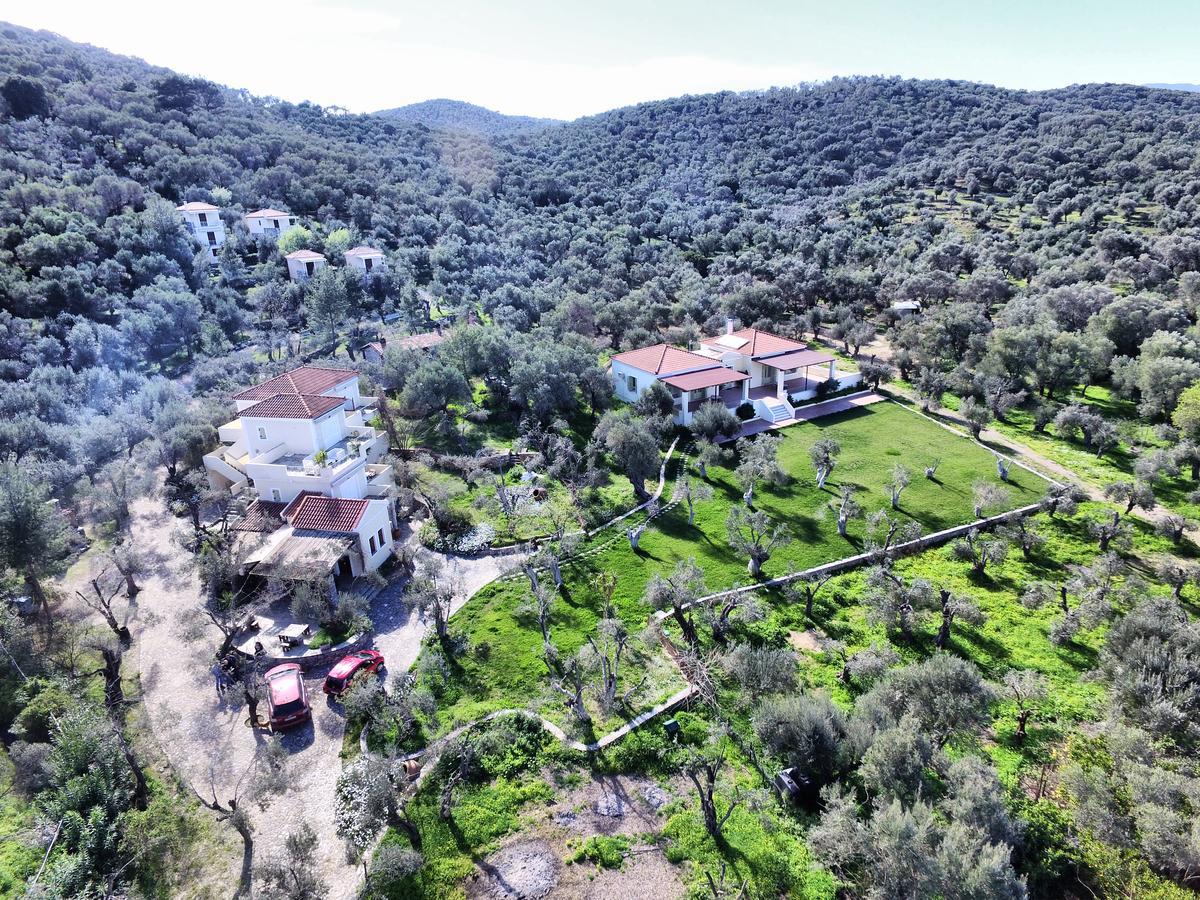 Gera'S Olive Grove - Elaionas Lesvou Marmaro (Lesbos) Exterior foto