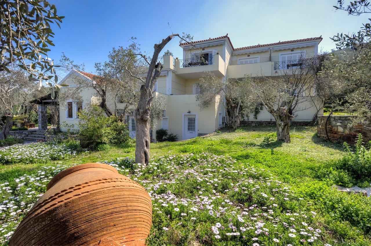 Gera'S Olive Grove - Elaionas Lesvou Marmaro (Lesbos) Exterior foto