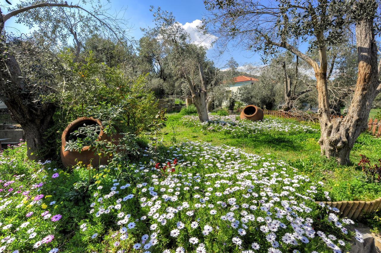 Gera'S Olive Grove - Elaionas Lesvou Marmaro (Lesbos) Exterior foto