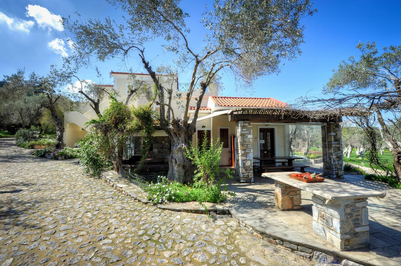 Gera'S Olive Grove - Elaionas Lesvou Marmaro (Lesbos) Exterior foto
