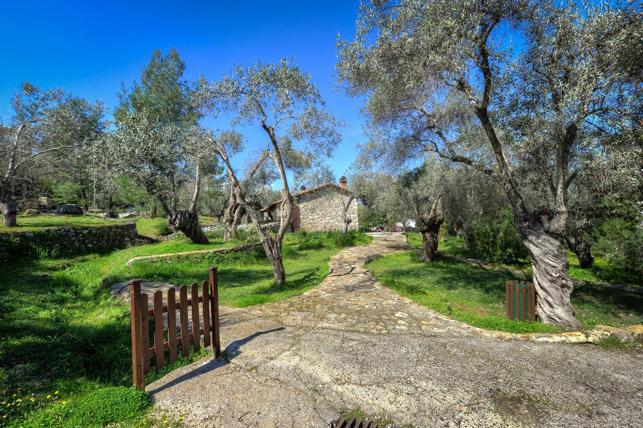 Gera'S Olive Grove - Elaionas Lesvou Marmaro (Lesbos) Exterior foto