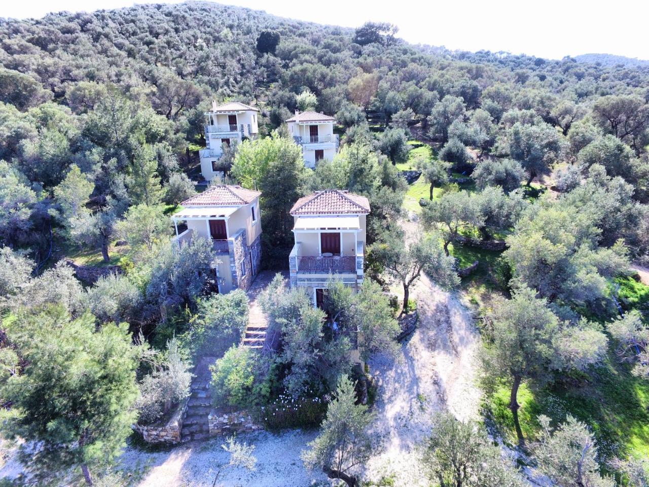 Gera'S Olive Grove - Elaionas Lesvou Marmaro (Lesbos) Exterior foto