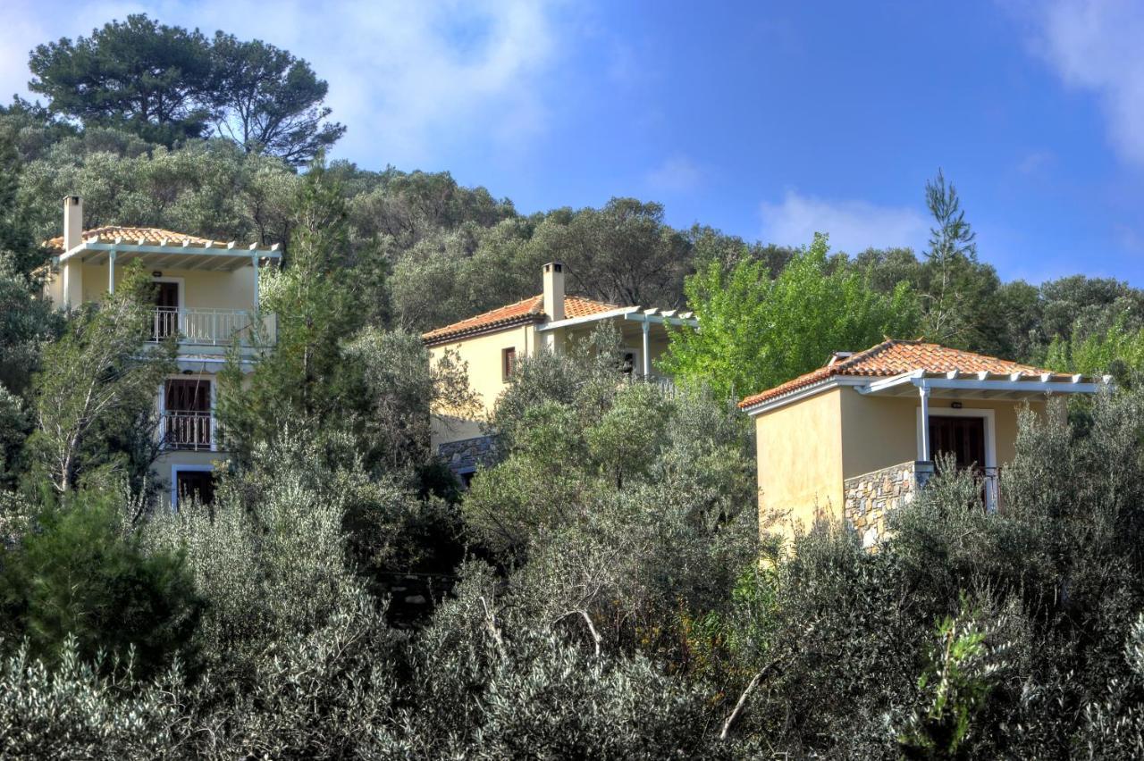 Gera'S Olive Grove - Elaionas Lesvou Marmaro (Lesbos) Exterior foto